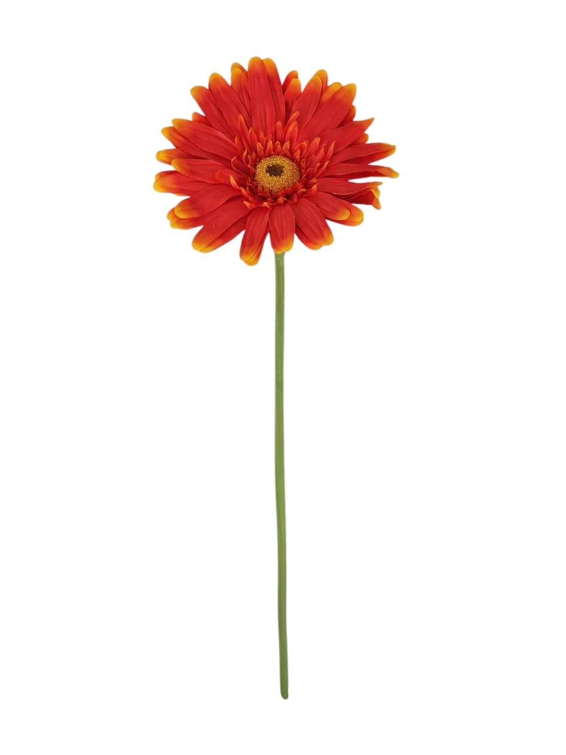 GERBERA GIANT 114CM OR