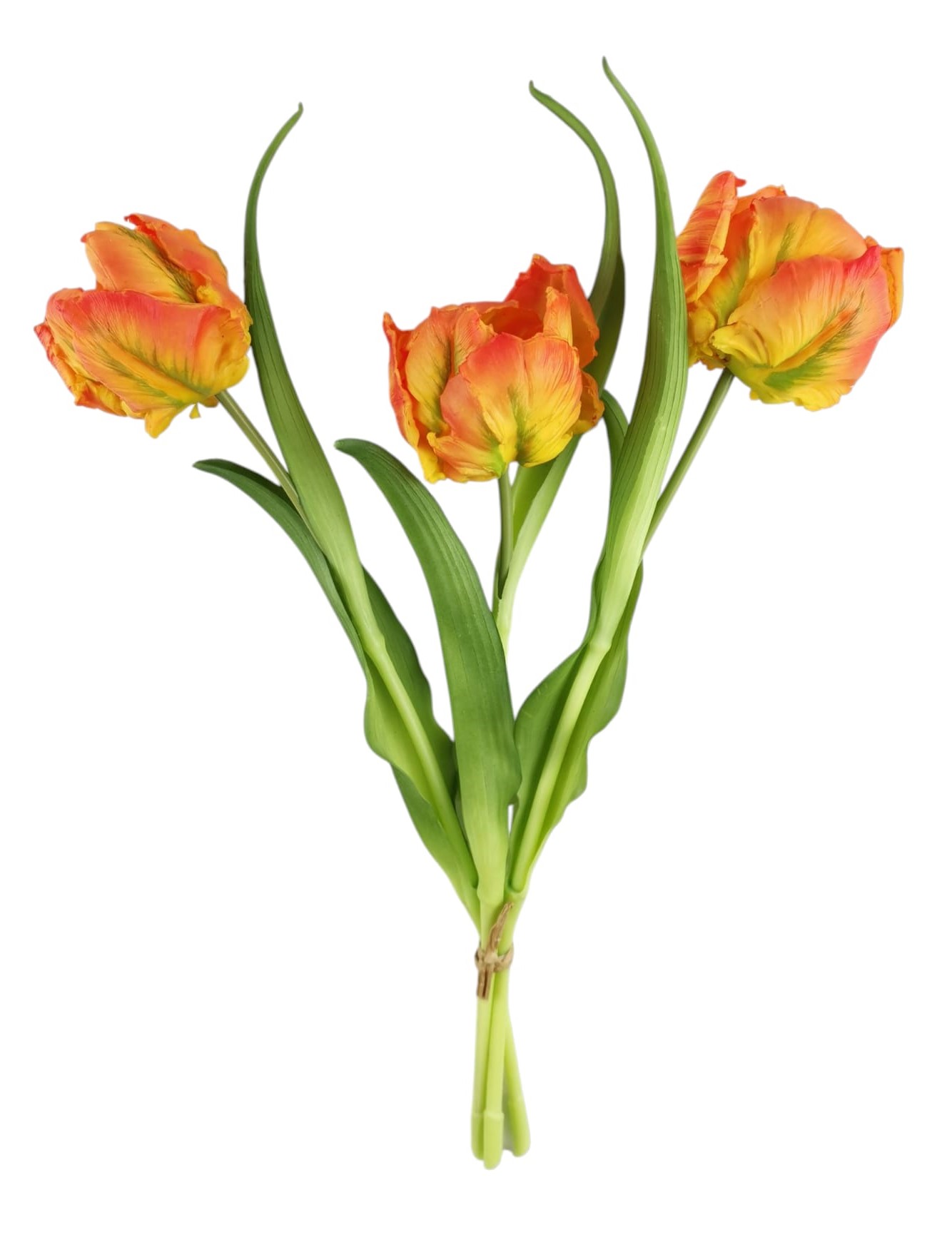 TULIPANO LIBRETTO BUNDLE X3 40CM OR