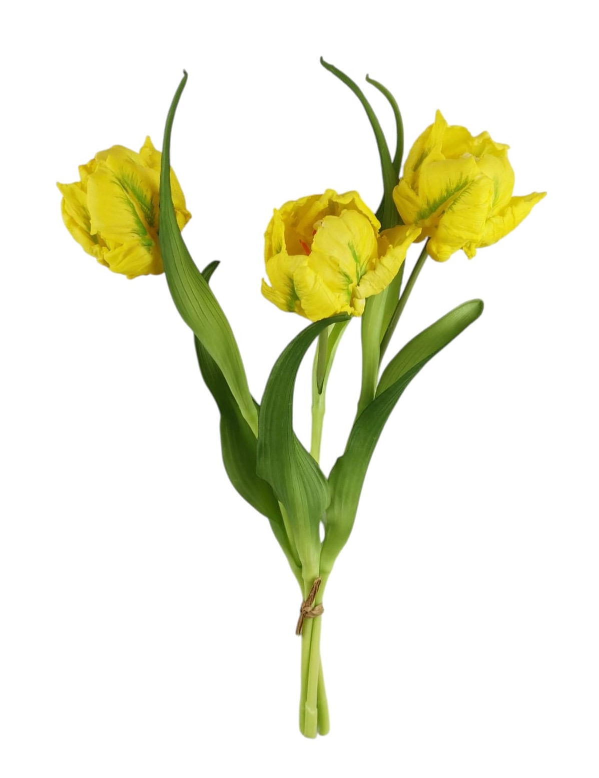 TULIPANO LIBRETTO BUNDLE X3 40CM YL