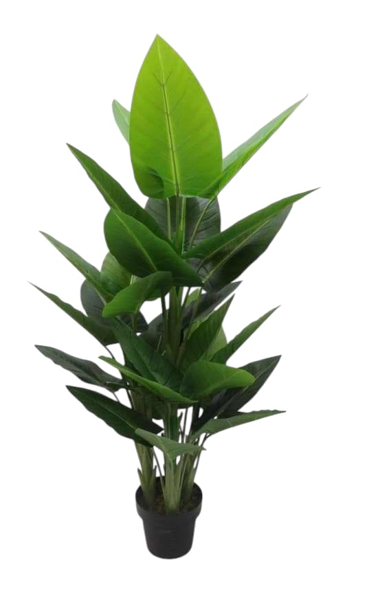 CALLA LVS IN VASO X3 34FG RT 130CM GR