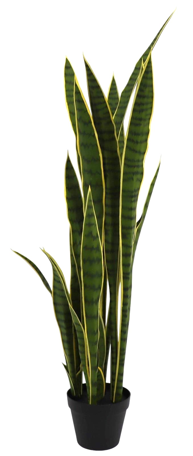 SANSEVERIA IN VASO 112CM GRYL