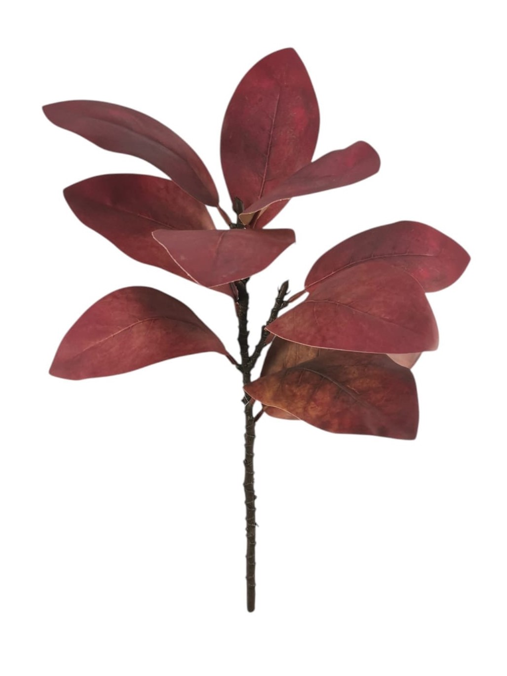 FOGLIA MAGNOLIA X10 RT 55CM GRBR