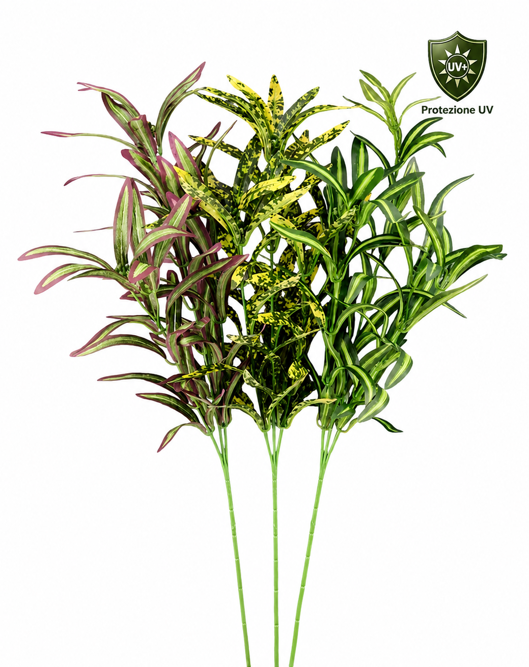 DRACENA X3 80CM ASS UV+