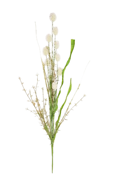 ERYNGIUM 64CM WH