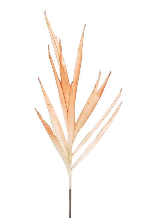 ALOE FOAM 94CM YL