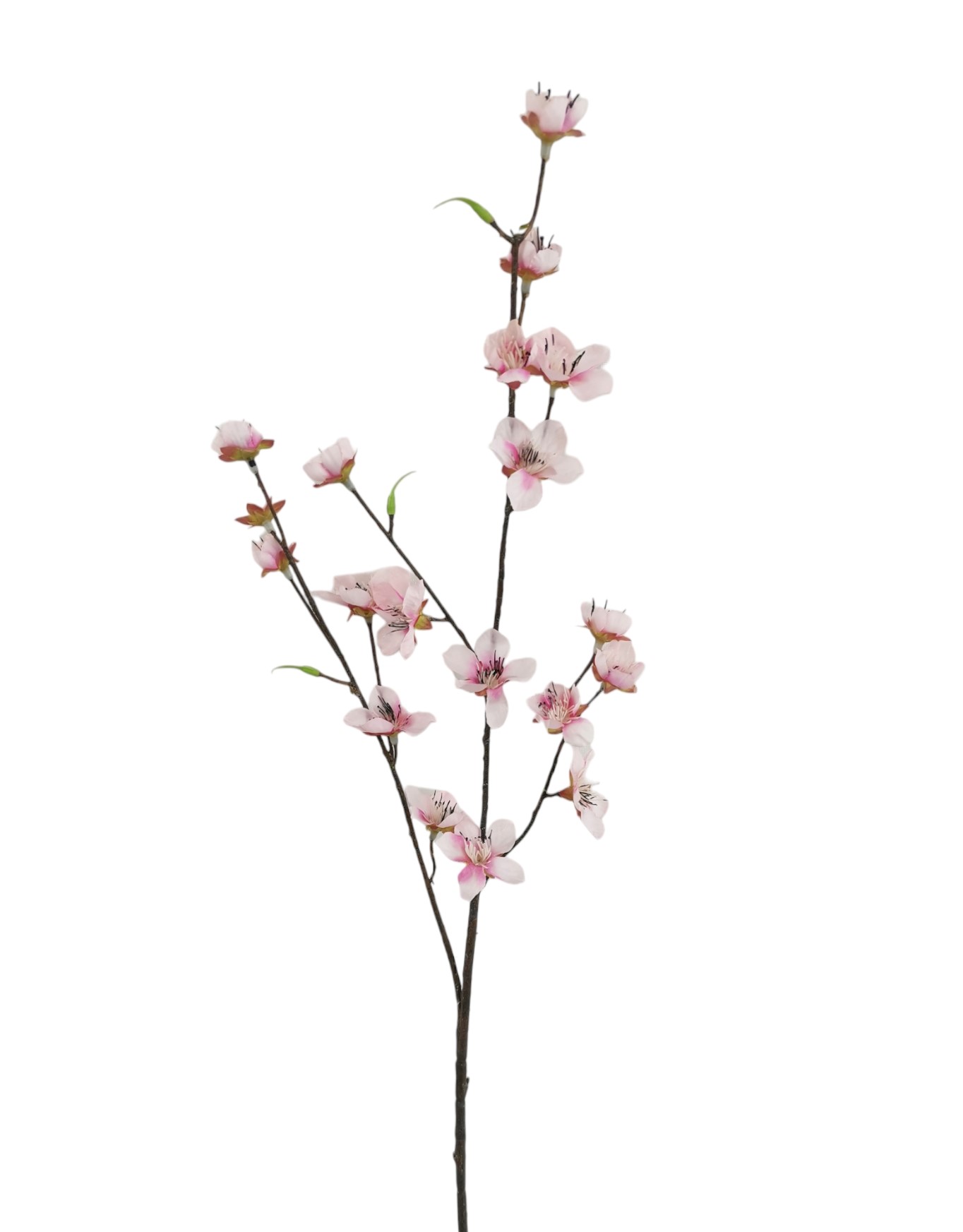 PESCO SPRAY 70CM PK